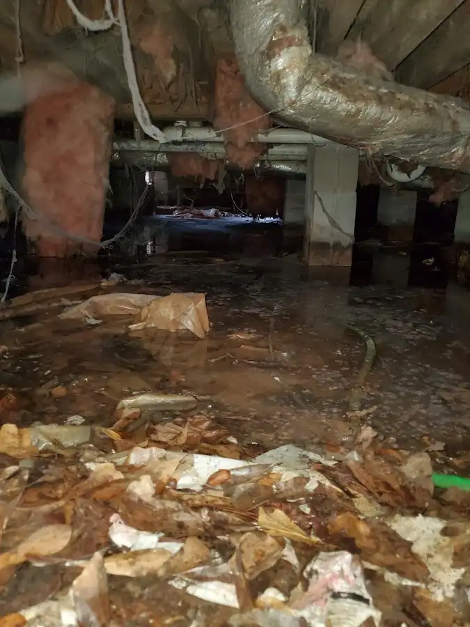 Crawl space flood assessment for Leak Detection & Repair in Leitchfield
