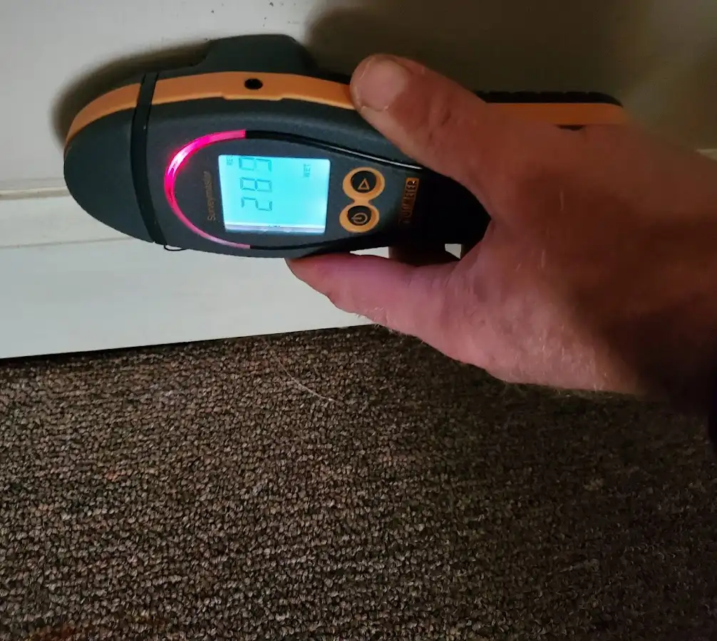 Moisture detection at baseboard during Mold Inspection & Testing in Leitchfield